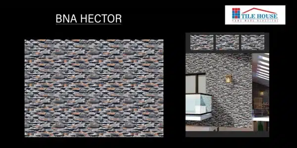 BNA Hector – 18x12 inch exterior wall elevation tile | Johnson Tiles | Tile House showroom, Vadapalani, Chennai