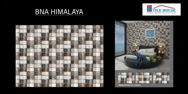BNA Himalaya – 18x12 inch tile for elevation with mountain stone texture | Johnson Tiles | Tile House showroom, Mint