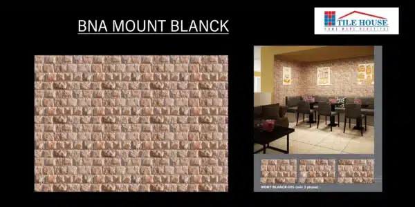 BNA Mount Blanck – 18x12 inch elevation tile with white stone effect | Johnson Tiles | Tile House showroom, Mint