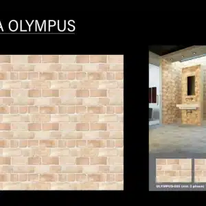 BNA Olympus – 18x12 inch elevation tile with mountain stone appeal | Johnson Tiles | Tile House showroom, Redhills, Chennai