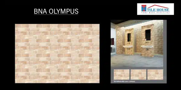 BNA Olympus – 18x12 inch elevation tile with mountain stone appeal | Johnson Tiles | Tile House showroom, Redhills, Chennai