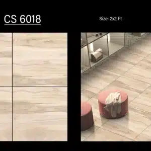 CS 6018