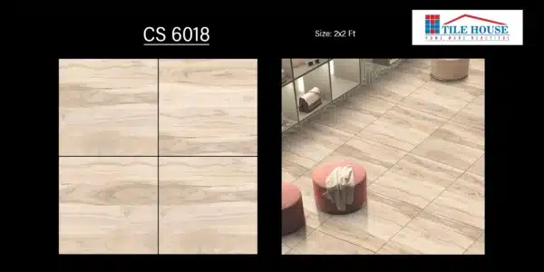 CS 6018
