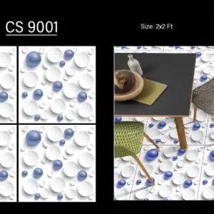 CS 9001