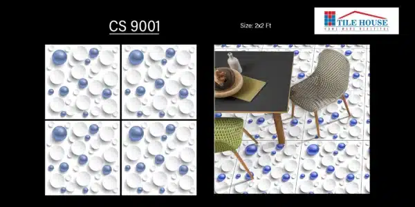 CS 9001