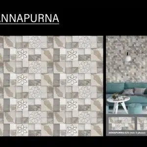 BNA Annapurna – 2x1 ft elevation tile for stone-like exteriors | Johnson Tiles from Tile House, Vadapalani showroom