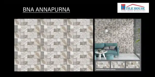 BNA Annapurna – 2x1 ft elevation tile for stone-like exteriors | Johnson Tiles from Tile House, Vadapalani showroom