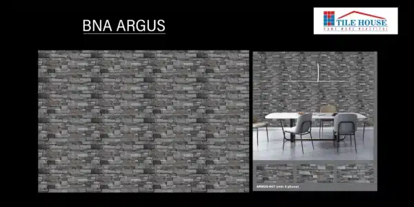 BNA Argus – 2x1 ft elevation tile with natural stone appeal | Johnson Tiles | Available at Tile House Mint, Chennai