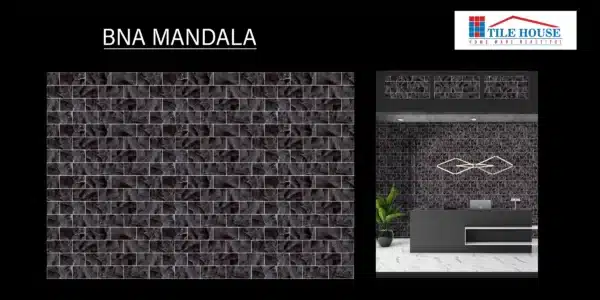 BNA Mandala – 2x1 ft elevation tile with earthy tones for facade walls | Johnson Tiles | Tile House showroom, Mint