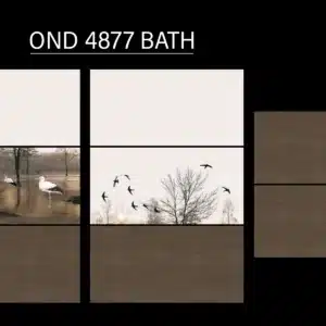 4877 HL tile – 2x1 ft wall tile for bathroom design | Johnson Tiles from Tile House showroom in Mint