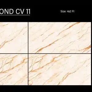 OND CV 11